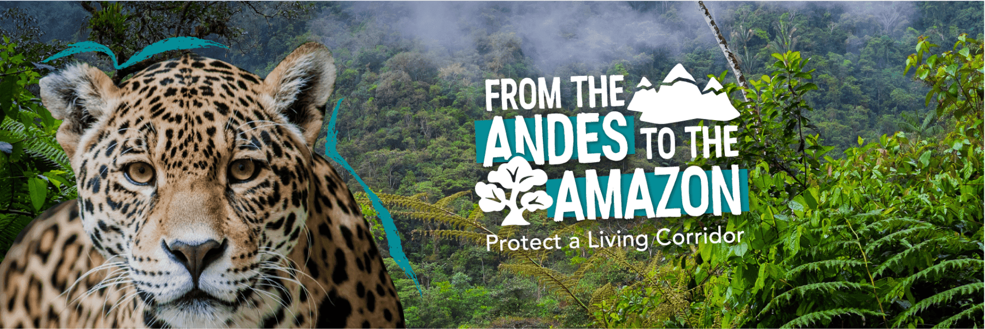 Jaguar, From the Andes to the Amazon