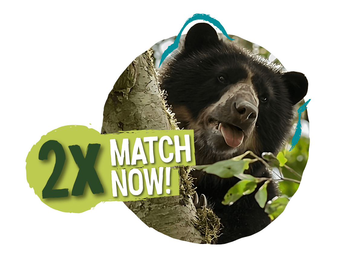 2X Match through End of Year